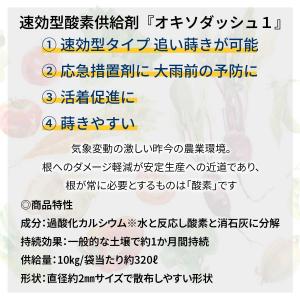法人限定 速効性酸素供給剤 オキソダッシュ1 ...の詳細画像1