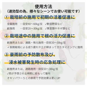 法人限定 速効性酸素供給剤 オキソダッシュ1 ...の詳細画像2