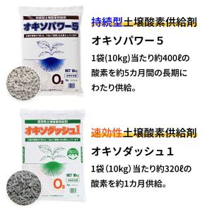 法人限定 速効性酸素供給剤 オキソダッシュ1 ...の詳細画像3