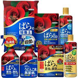 マイローズ バラのおすすめ7点セット KINCHO園芸 バラ 肥料 バラ 殺虫剤 バラ 殺菌剤 バラ 活力液 バラ 培養土 バラ 用土 バラの肥料 バラ肥料 バラ 害虫 対策
