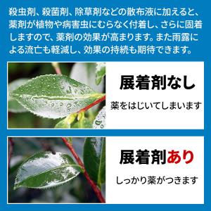 展着剤 農薬 ダイン 100ml KINCHO...の詳細画像1