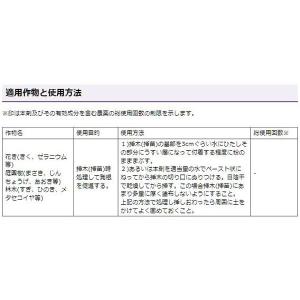ルートン 15g KINCHO園芸 発根剤 ル...の詳細画像2