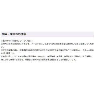 ルートン 15g KINCHO園芸 発根剤 ル...の詳細画像3