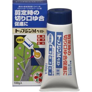 トップジンMペースト 100g 住友化学園芸 殺菌剤｜e-hanas(イーハナス)Yahoo!店