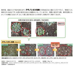 除草剤 クサノンEX粒剤 400g KINCH...の詳細画像3