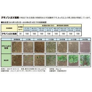 除草剤 クサノンEX粒剤 400g KINCH...の詳細画像4