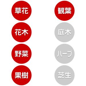殺虫剤 マイローズ ベニカR 乳剤 100ml...の詳細画像2