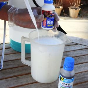 殺虫剤 マイローズ ベニカR 乳剤 100ml...の詳細画像4