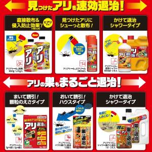 殺虫剤 アリアトールシャワー巣ごと退治 2L ...の詳細画像4
