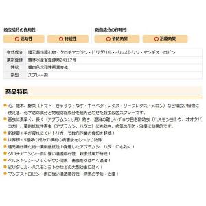 ベニカXネクストスプレー 1000ml KIN...の詳細画像1