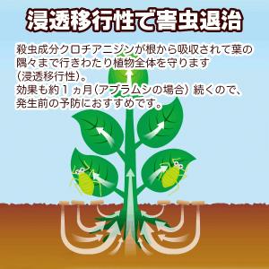 ベニカXガード粒剤 550g KINCHO園芸...の詳細画像2