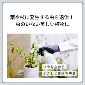 殺虫剤 MY PLANTS 虫からやさしく守る...の詳細画像3