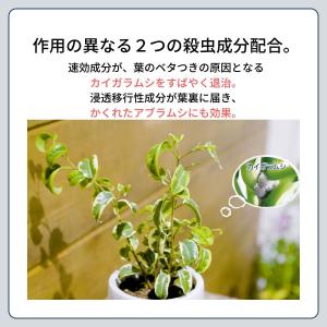 殺虫剤 MY PLANTS 虫からやさしく守る...の詳細画像4