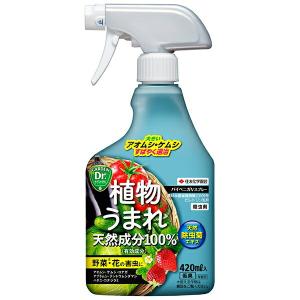 パイベニカＶスプレー 420ml 住友化学園芸 植物うまれ 天然成分100％ 天然除虫菊エキス 野菜 花 害虫退治 低臭 殺虫剤 アウトレット｜e-hanas