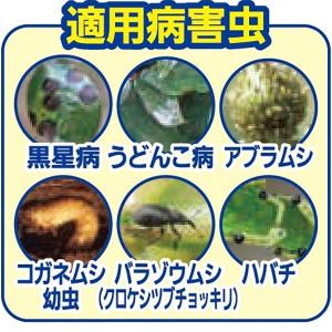 殺虫殺菌剤 マイローズ ベニカXガード粒剤 4...の詳細画像1