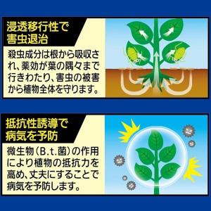 殺虫殺菌剤 マイローズ ベニカXガード粒剤 4...の詳細画像2