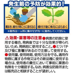 殺虫殺菌剤 マイローズ ベニカXガード粒剤 4...の詳細画像3
