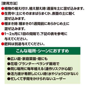 X-ENERGYロング 粒タイプ 700g K...の詳細画像2