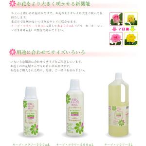 キープフラワー 500ml ×2本 フジ日本 ...の詳細画像2