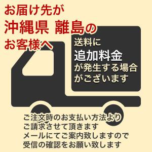 キープフラワー 500ml ×2本 フジ日本 ...の詳細画像3