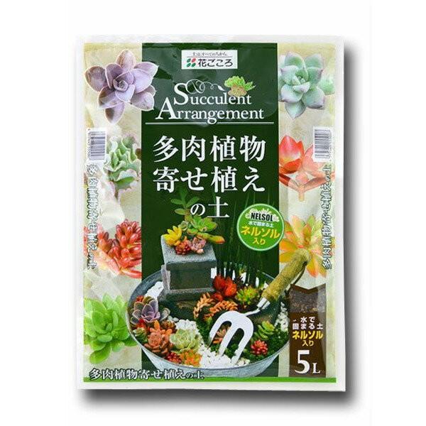 多肉植物寄せ植えの土 5L 花ごころ 培養土 多肉植物の土 多肉植物 土 多肉植物 用土 多肉植物 ...