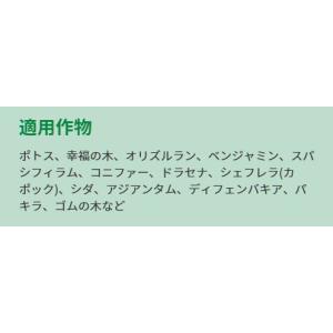 肥料 プロミック錠剤肥料 観葉植物用 150g...の詳細画像1