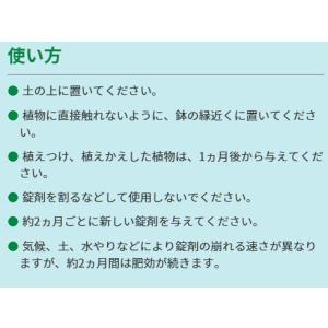 肥料 プロミック錠剤肥料 観葉植物用 150g...の詳細画像2