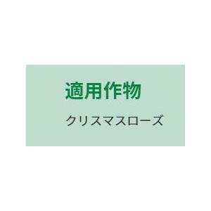 肥料 プロミック錠剤肥料 クリスマスローズ用 ...の詳細画像1