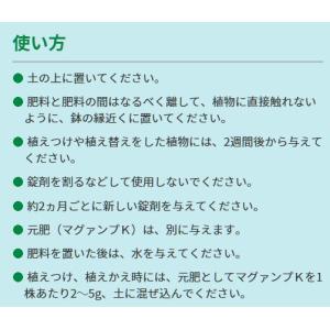 肥料 プロミック錠剤肥料 クリスマスローズ用 ...の詳細画像2