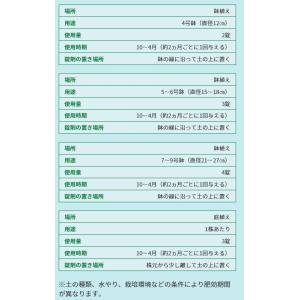 肥料 プロミック錠剤肥料 クリスマスローズ用 ...の詳細画像3