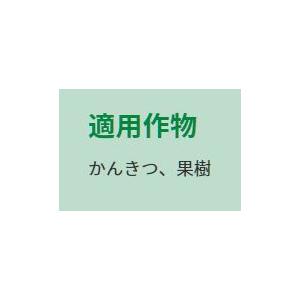 肥料 錠剤肥料 かんきつ・果樹用 30錠 ハイ...の詳細画像1