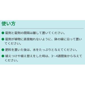 肥料 錠剤肥料 かんきつ・果樹用 30錠 ハイ...の詳細画像2