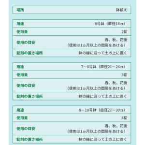 肥料 錠剤肥料 かんきつ・果樹用 30錠 ハイ...の詳細画像3