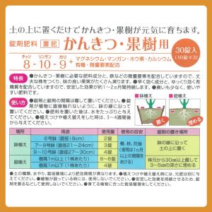 肥料 錠剤肥料 かんきつ・果樹用 30錠 ハイ...の詳細画像5