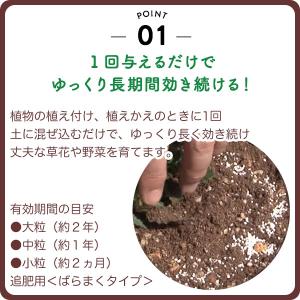 肥料 マグァンプK 中粒 200g ハイポネッ...の詳細画像2