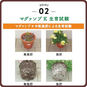 肥料 マグァンプK 中粒 200g ハイポネッ...の詳細画像3
