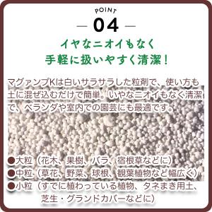 肥料 マグァンプK 中粒 200g ハイポネッ...の詳細画像5
