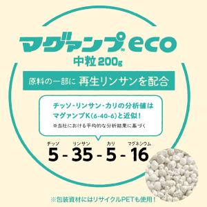肥料 マグァンプeco 中粒 200g ハイポ...の詳細画像2