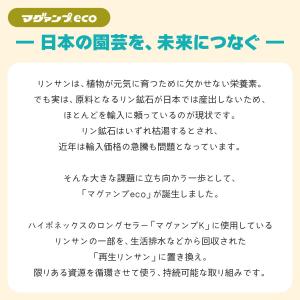 肥料 マグァンプeco 中粒 200g ハイポ...の詳細画像3
