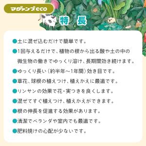 肥料 マグァンプeco 中粒 200g ハイポ...の詳細画像4