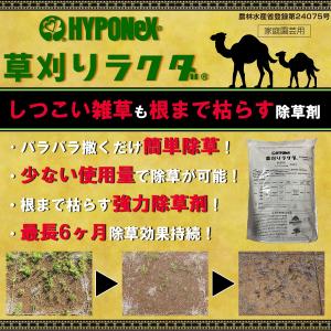 除草剤 草刈りラクダ 4kg ハイポネックス ...の詳細画像1