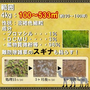 除草剤 草刈りラクダ 4kg ハイポネックス ...の詳細画像2