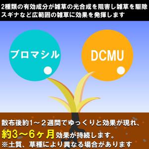 除草剤 草刈りラクダ 4kg ハイポネックス ...の詳細画像3