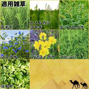 除草剤 草刈りラクダ 4kg ハイポネックス ...の詳細画像4