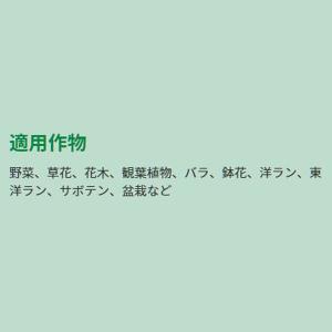 リキダス 植物用活力液 800ml ハイポネッ...の詳細画像3