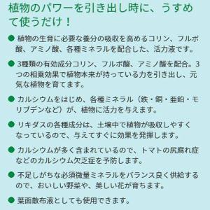 リキダス 植物用活力液 800ml ハイポネッ...の詳細画像4
