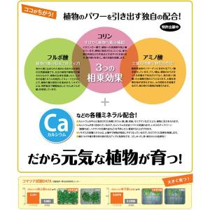 リキダス 植物用活力液 800ml ハイポネッ...の詳細画像5
