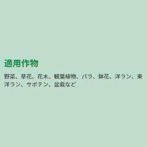 リキダス エコパック 植物用活力液 720ml...の詳細画像3