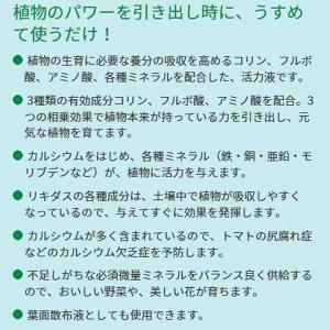 リキダス エコパック 植物用活力液 720ml...の詳細画像4