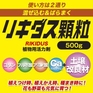 【New Roses 書籍付 先着順なくなり次...の詳細画像1